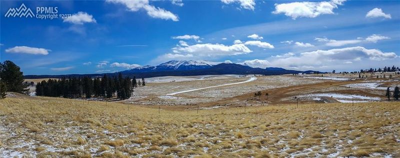 874 Meadow Park Dr, Divide, CO 80814