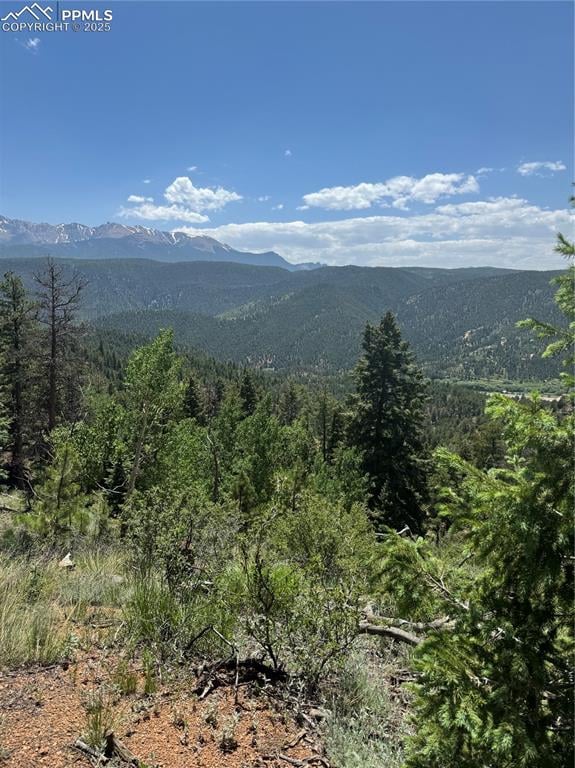 8743 High Mark Point, Woodland Park, CO 80863 | MLS# 7182793 | Great ...