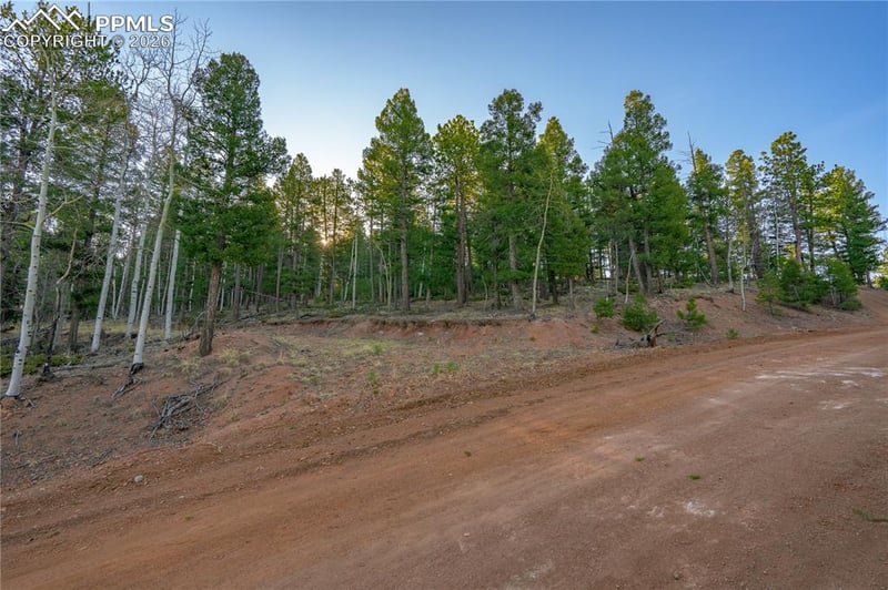 88 Malmsey Ln, Divide, CO 80814