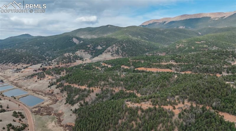 881 Timber Ridge Rd, Divide, CO 80814