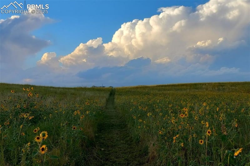 8910 Mulberry Rd, Calhan, CO 80808
