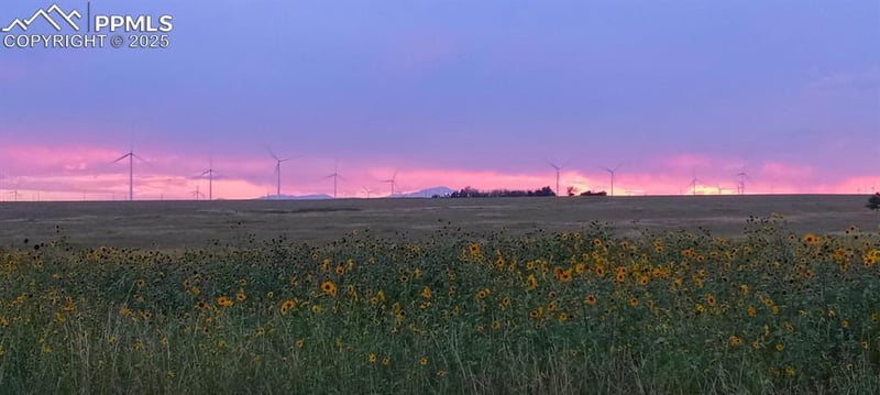8910 Mulberry Rd, Calhan, CO 80808