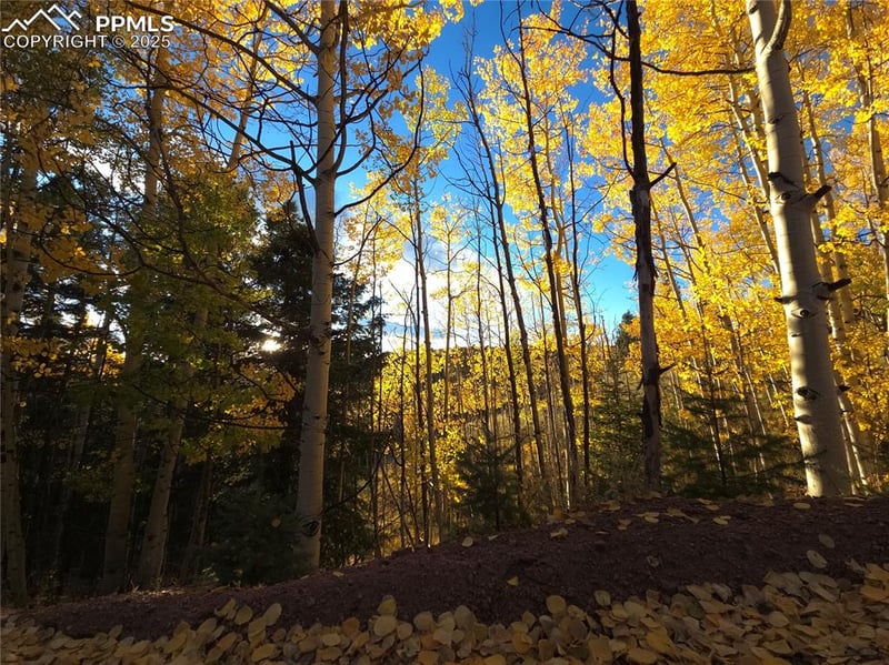 899 Little Topsey Dr, Cripple Creek, CO 80813