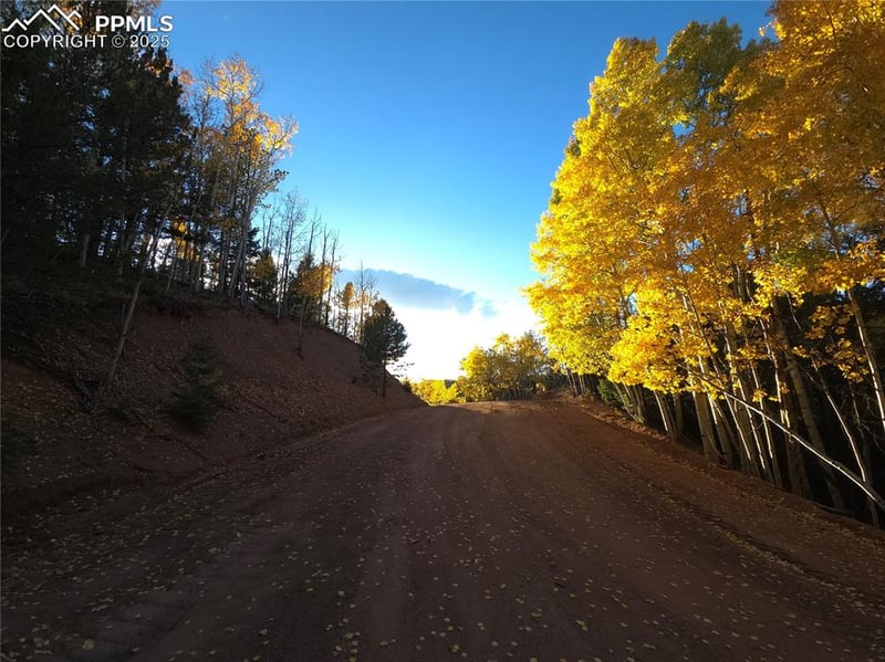 899 Little Topsey Dr, Cripple Creek, CO 80813