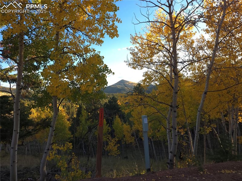 899 Little Topsey Dr, Cripple Creek, CO 80813