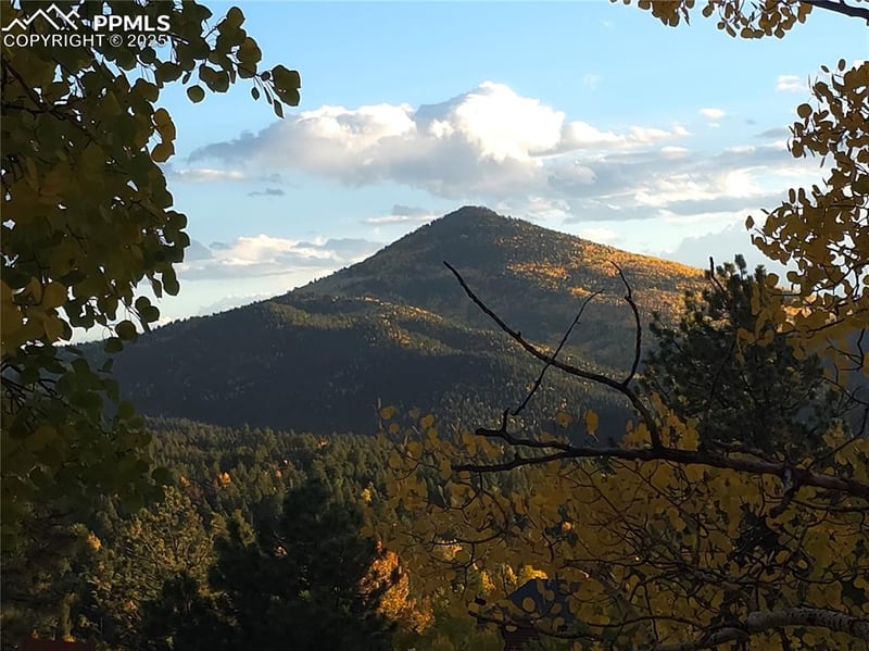 899 Little Topsey Dr, Cripple Creek, CO 80813