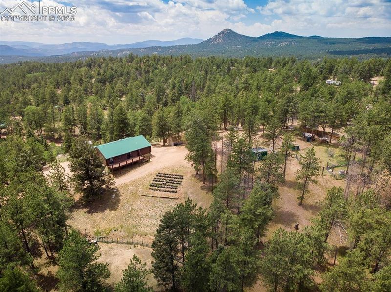 901 W Bison Creek Trl, Divide, CO 80814