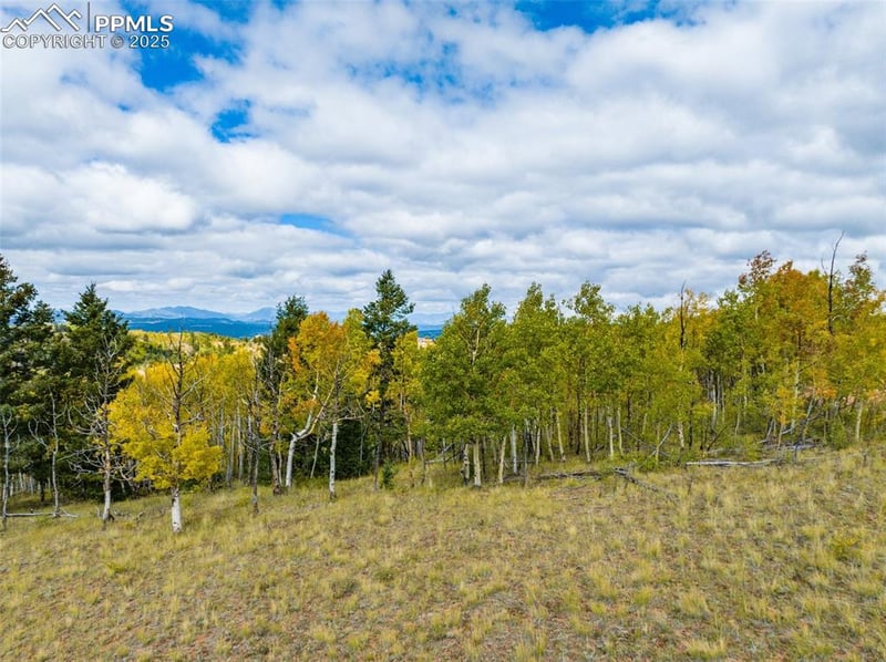901 Golden Cycle Cir, Cripple Creek, CO 80813