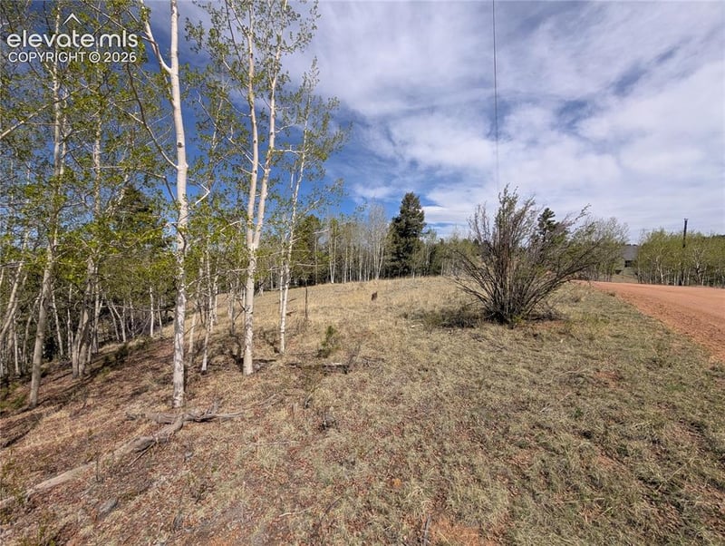 905 May Queen Dr, Cripple Creek, CO 80813