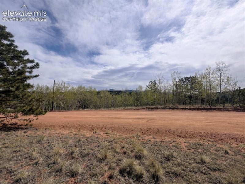 905 May Queen Dr, Cripple Creek, CO 80813