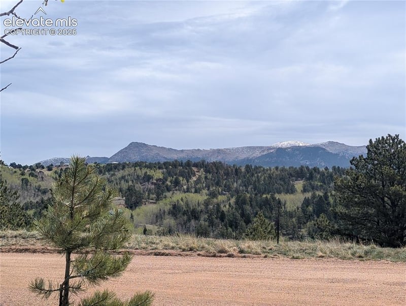 905 May Queen Dr, Cripple Creek, CO 80813
