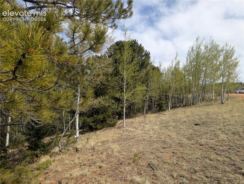 905 May Queen Dr, Cripple Creek, CO 80813
