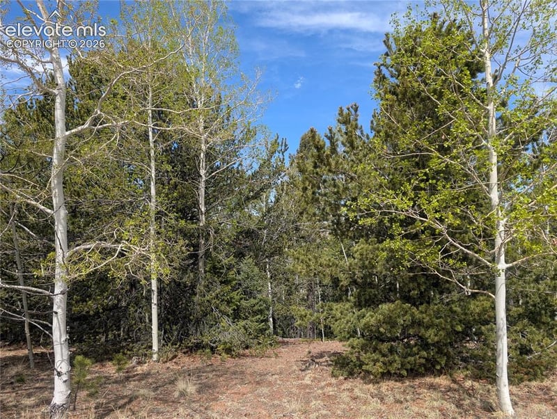 905 May Queen Dr, Cripple Creek, CO 80813