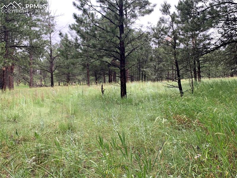 9050 Burgess Rd, Colorado Springs, CO 80908