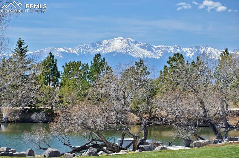 9085 Black Forest Rd, Colorado Springs, CO 80908