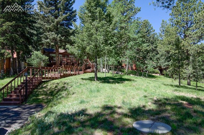 9125 Ute Rd, Cascade, CO 80809