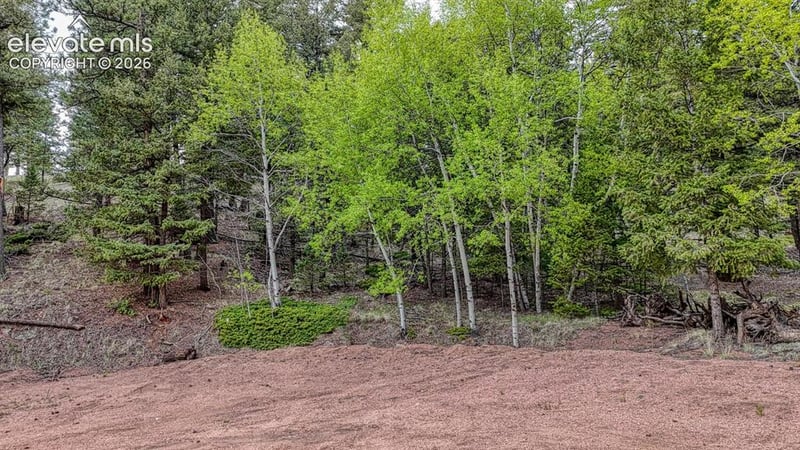 918 Pinon Ln, Florissant, CO 80816