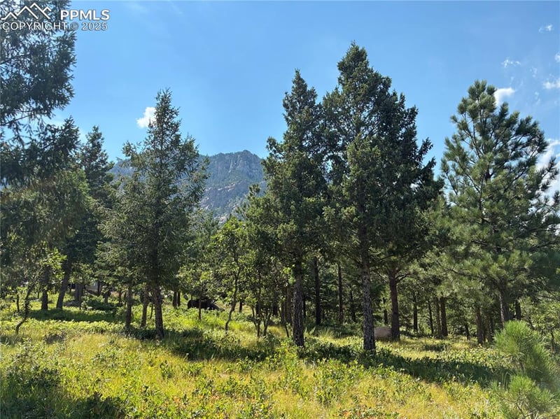 920 Grey Mountain Point, Colorado Springs, CO 80906