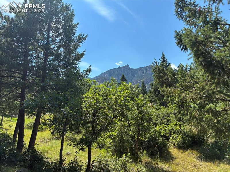 920 Grey Mountain Point, Colorado Springs, CO 80906