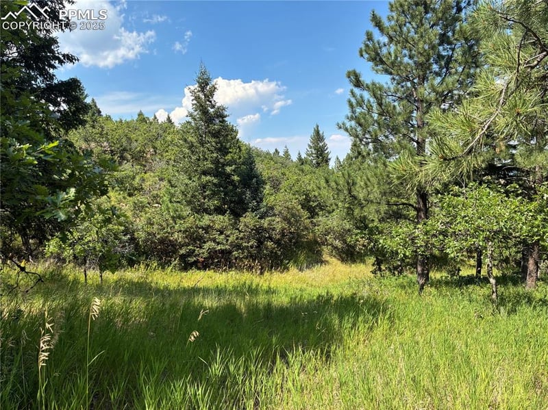 920 Grey Mountain Point, Colorado Springs, CO 80906