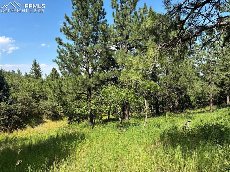 920 Grey Mountain Point, Colorado Springs, CO 80906