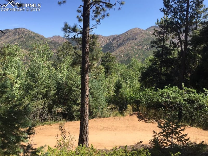 9230 Mountain Rd, Cascade, CO 80809
