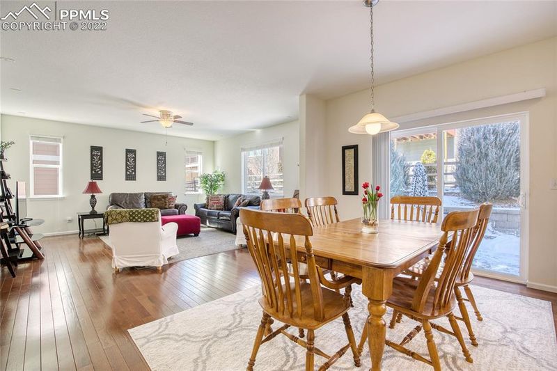 924 Fire Rock Pl, Colorado Springs, CO 80921