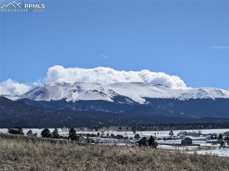 924 Will Scarlet Dr, Divide, CO 80814