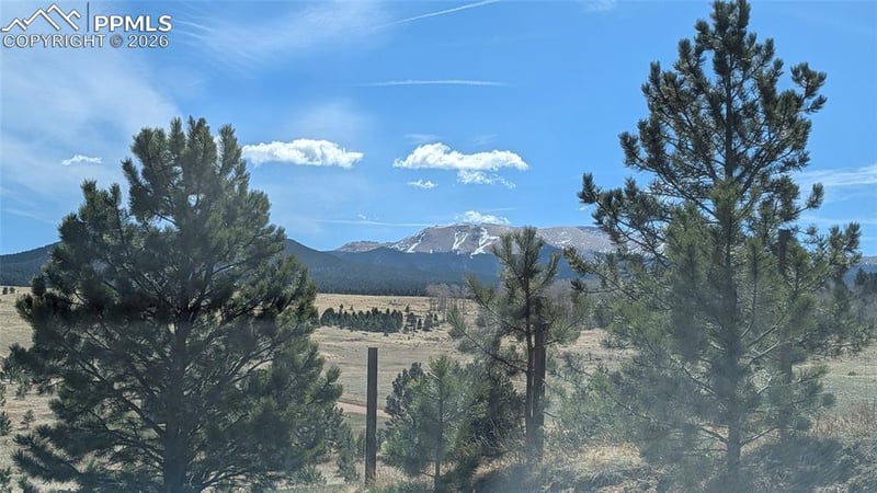 924 Will Scarlet Dr, Divide, CO 80814