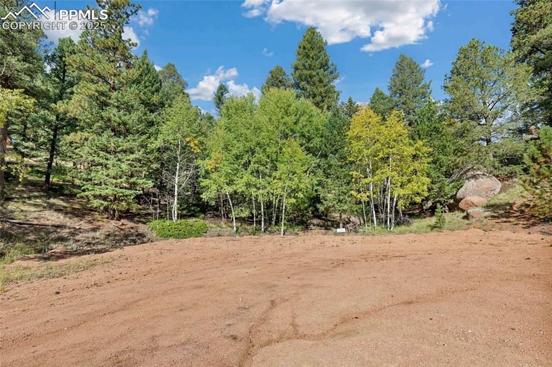 926 Pinon Ln, Florissant, CO 80816