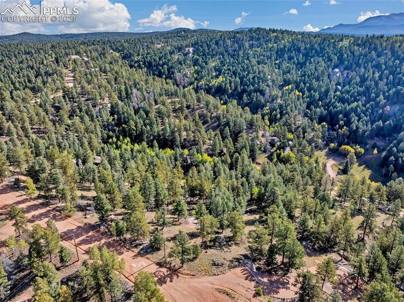 926 Pinon Ln, Florissant, CO 80816