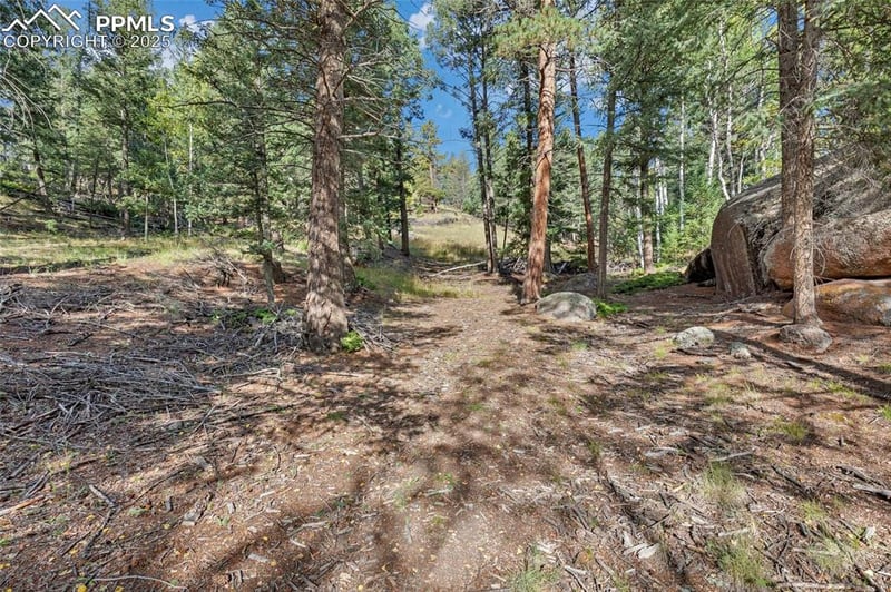 926 Pinon Ln, Florissant, CO 80816