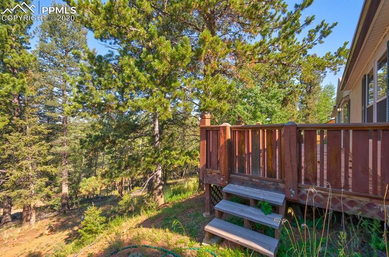 927 Calcite Dr, Divide, CO 80814