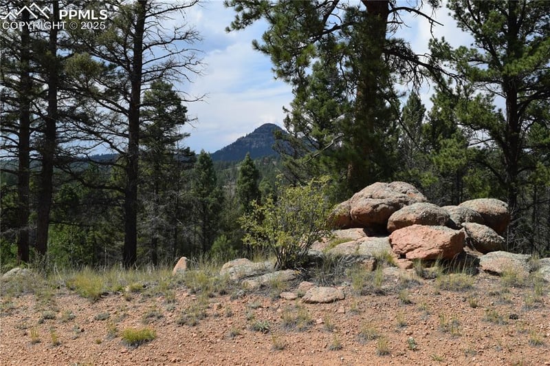 93 Kiowa Creek Trl, Florissant, CO 80816