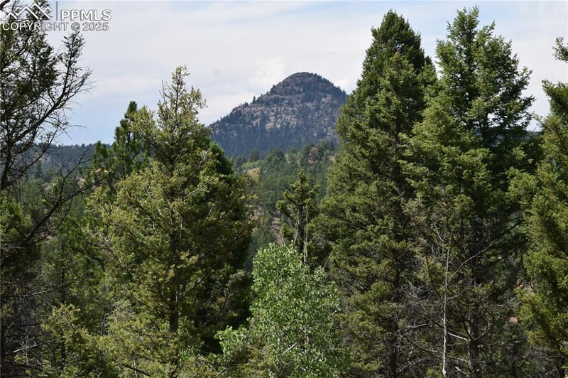 93 Kiowa Creek Trl, Florissant, CO 80816