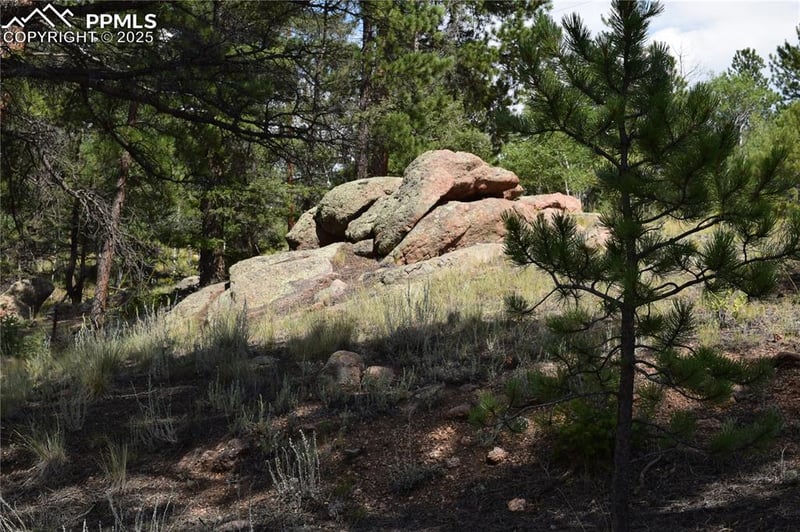 93 Kiowa Creek Trl, Florissant, CO 80816