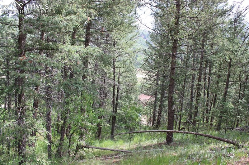 9320 Maveta Rd, Cascade, CO 80809