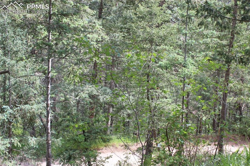 9320 Maveta Rd, Cascade, CO 80809