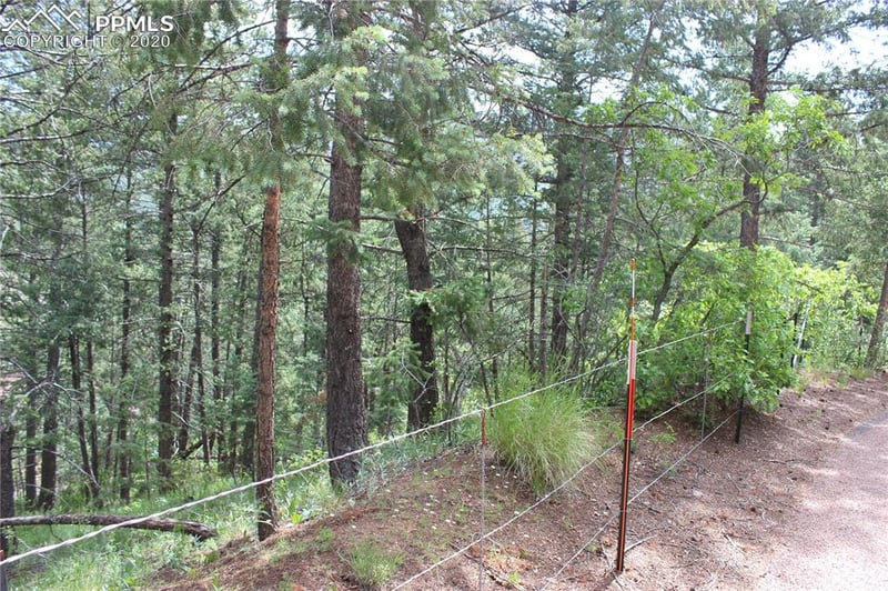 9320 Maveta Rd, Cascade, CO 80809
