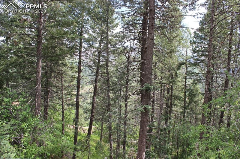 9320 Maveta Rd, Cascade, CO 80809