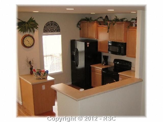 936 Burning Bush Point, Monument, CO 80132