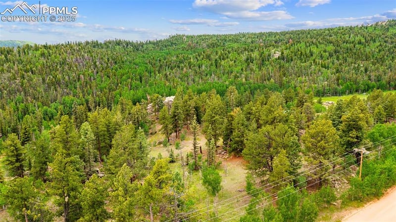 94 - 146 County Road 403, Florissant, CO 80816