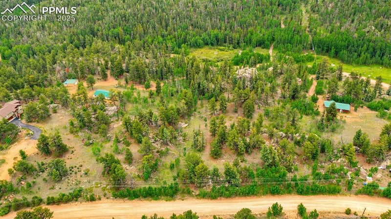 94 - 146 County Road 403, Florissant, CO 80816