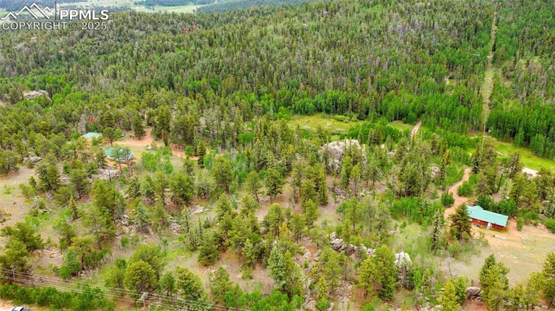 94 - 146 County Road 403, Florissant, CO 80816