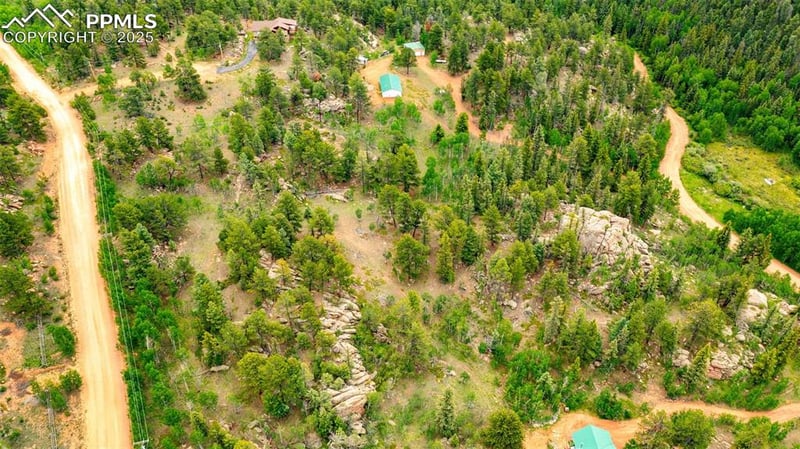 94 - 146 County Road 403, Florissant, CO 80816