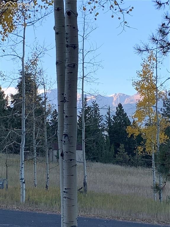 940 Kelleys Rd, Woodland Park, CO 80863