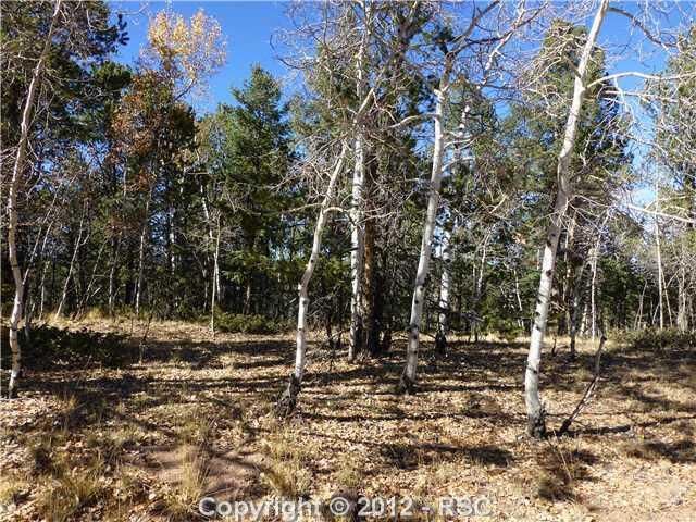 945 Timber Ridge Rd, Divide, CO 80814