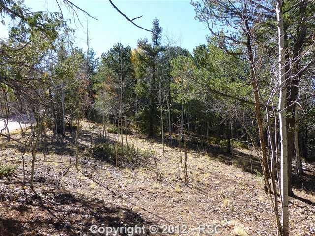 945 Timber Ridge Rd, Divide, CO 80814