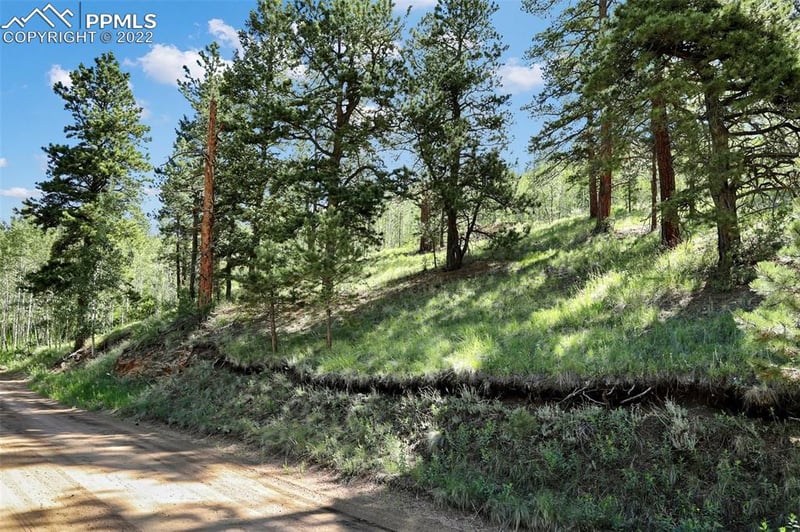 9455 Canyon Dr, Green Mountain Falls, CO 80819