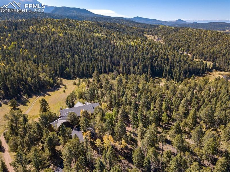 9455 Elk Ridge South, Divide, CO 80814